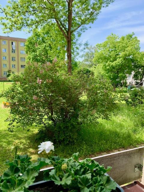 Apartman Snyt Primka أولوموك المظهر الخارجي الصورة