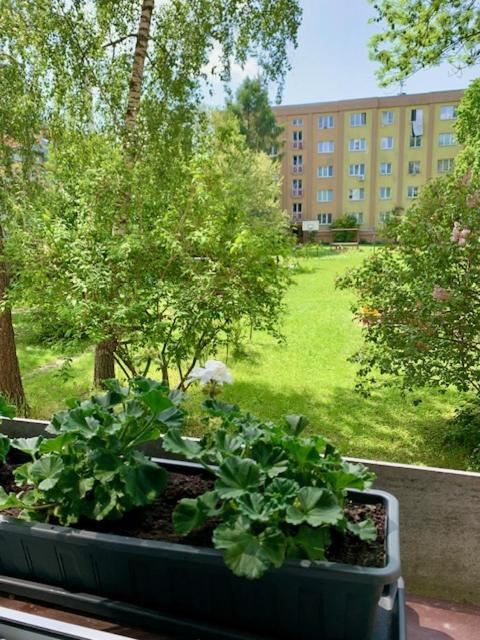 Apartman Snyt Primka أولوموك المظهر الخارجي الصورة